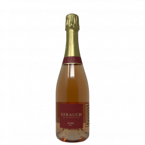 Strauch Rose brut