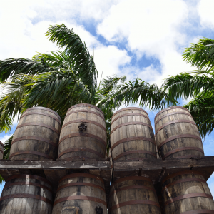 Gute Geister: Rum