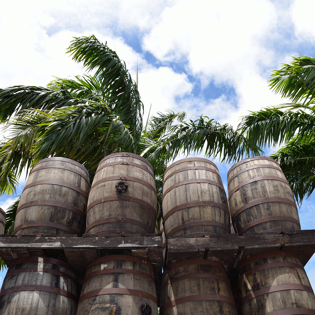 Gute Geister: Rum